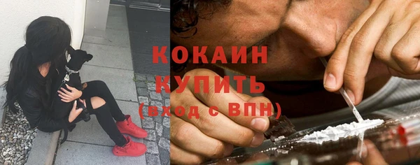 стафф Армянск